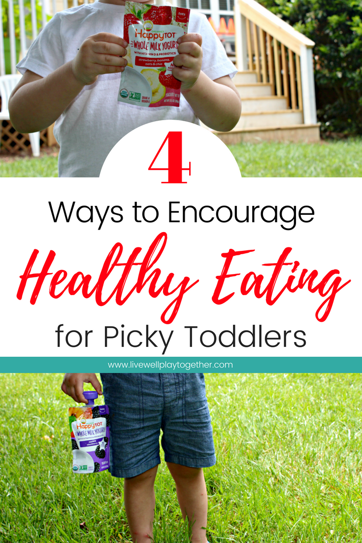 4 Ways to Encourage Healthy Eating for Picky Toddlers - Live Well Play ...