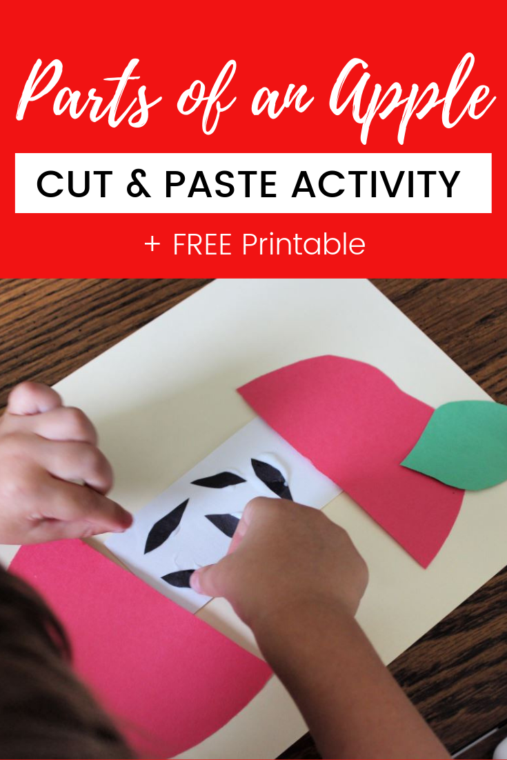 Parts of an Apple Cut & Paste Activity for Preschoolers & Kindergarten ...