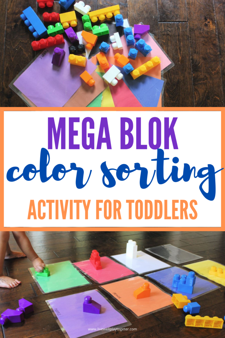 Easy Mega Bloks Color Sorting Activity for Toddlers - Live Well Play ...