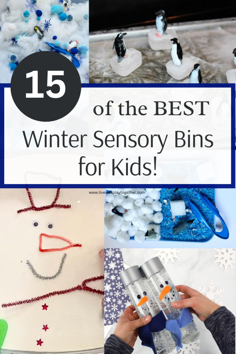 15 Winter Sensory Bin Ideas Your Kids Will Love